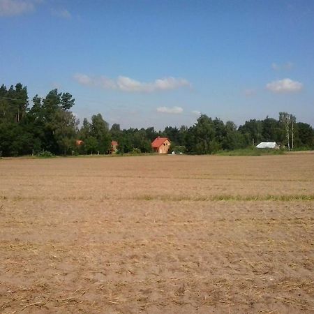 Holzmichel _ Pinocchio Apartman Lärz Kültér fotó